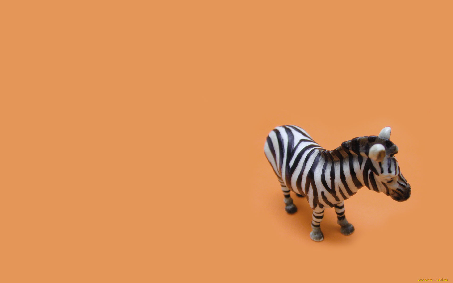3, , animals, 